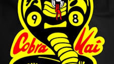 Cobra Kai Episodes and Seasons
