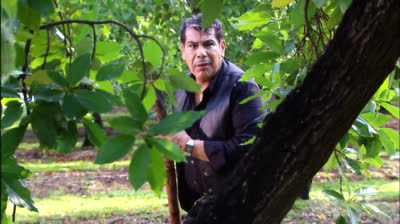 El talismán Capítulo 83