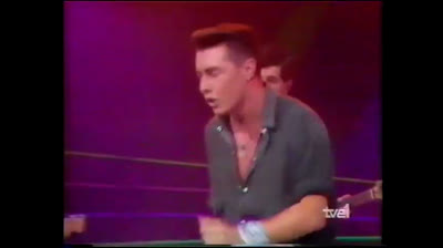 Gatos loco - Lejos de mi