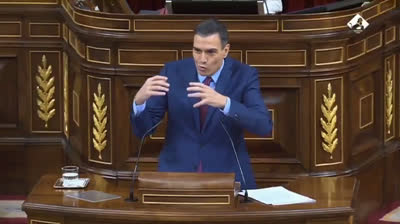 Pedro Sanchez y las paranoicas conspiraciones de VOX