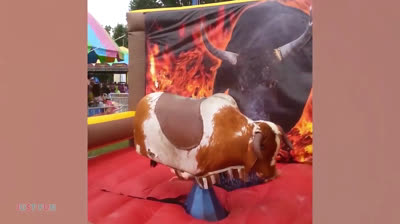 Funny Videos of 2020