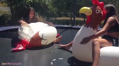 Vídeos divertidos: Edición 2020