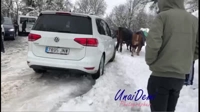 Vaca rescatando a un coche en la nieve
