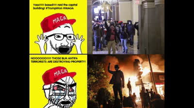 Les meilleurs mèmes d'assaut sur le Capitole de Washington