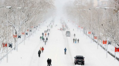 The funniest videos left by the snowfall of "Filomena" in Spain