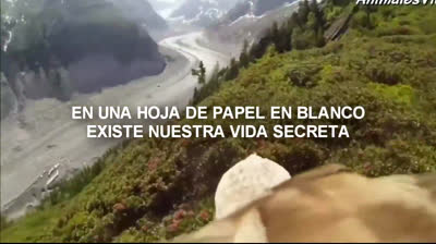 RAPSODIA PARA UNA ESTRELLA