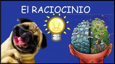 Clip 2 Sociedad Racional (???)