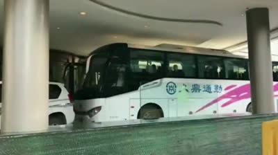 La OMS ya trabaja en Wuhan para descubrir los orígenes del Coronavirus