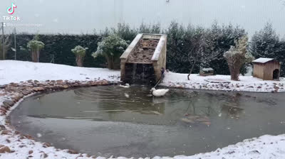 Buena ducha mañanera