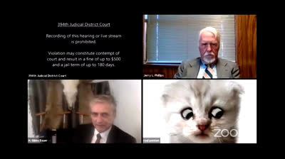 Un avocat se présente avec un filtre à chat à un procès