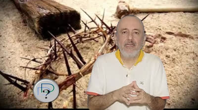 E 24 Amor Propiedad II