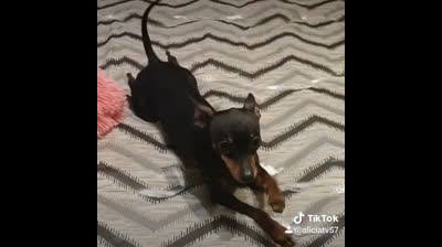 Mi Argos y sus cosas