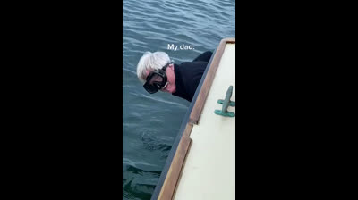 Diferentes formas de disfrutar de un paseo en un barco