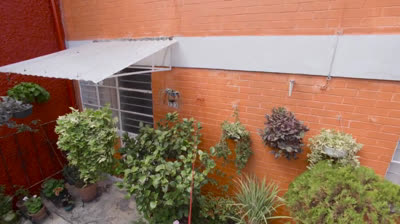 Como tú no hay dos - Episodio 11