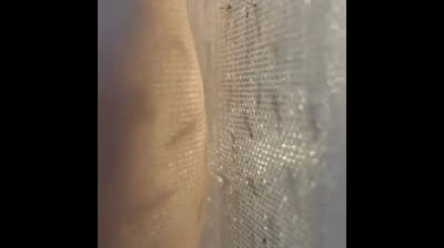 Mosquitos intentando picar a humanos